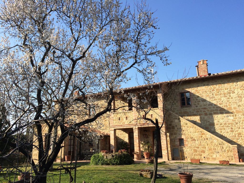 Agriturismo Podere San Gregorio Pienza Eksteriør billede