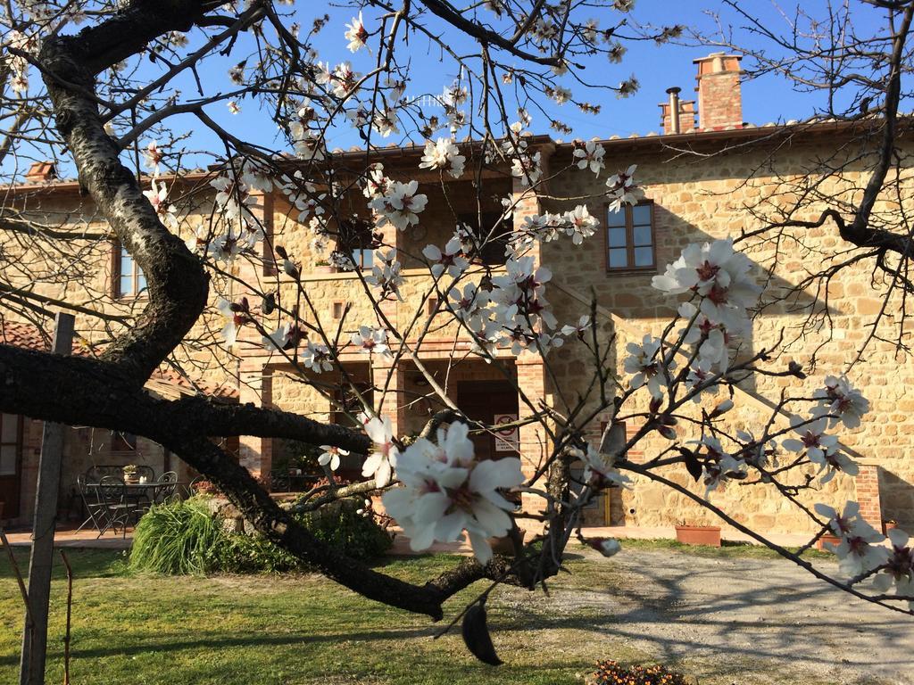 Agriturismo Podere San Gregorio Pienza Eksteriør billede