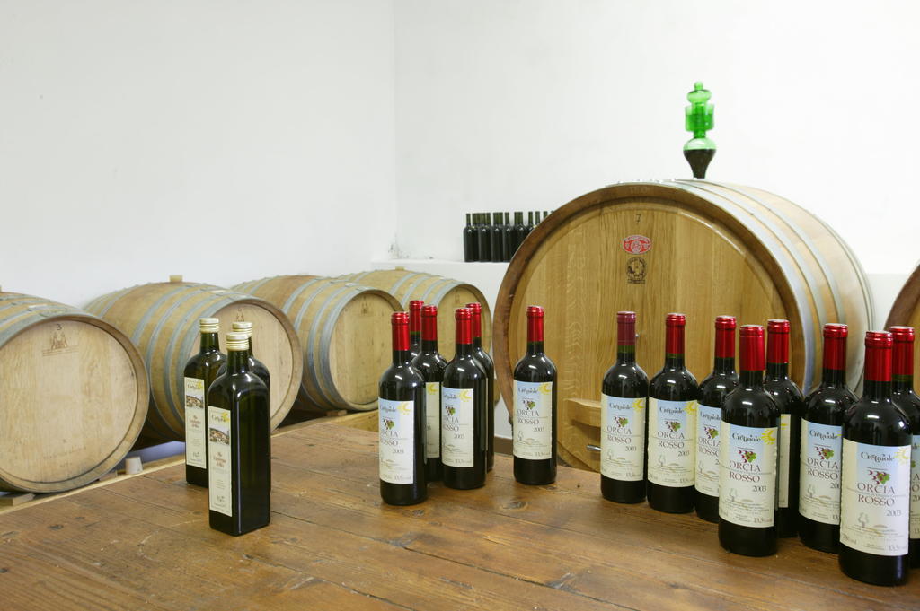 Agriturismo Podere San Gregorio Pienza Eksteriør billede